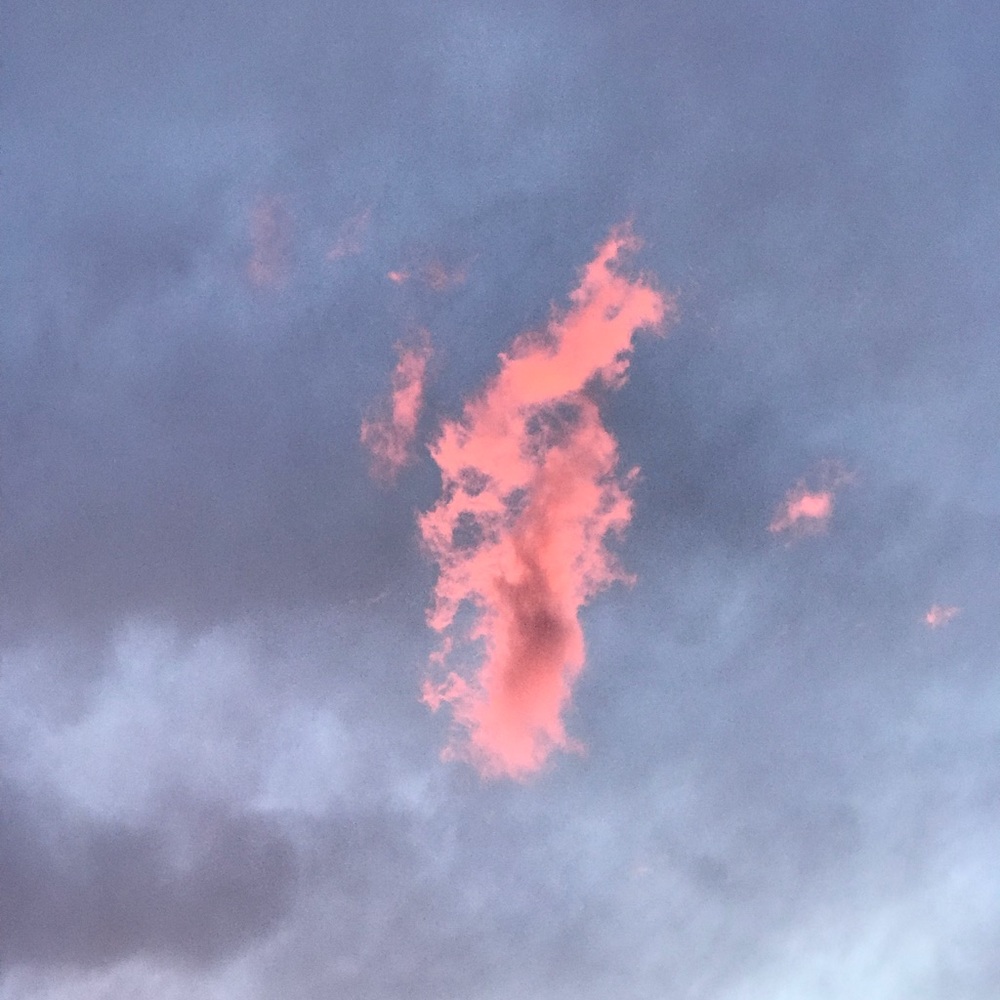 Meet your Posher, Tara